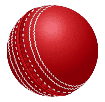 Cricket Ball